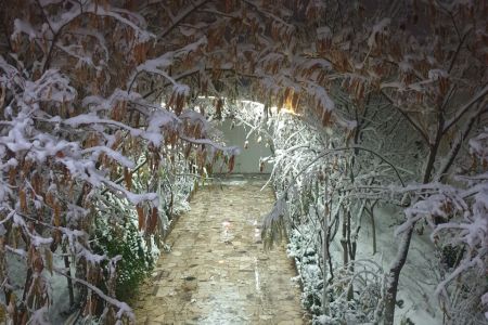 اجاره ویلا با استخر آبگرم در مشهد - محمدآباد