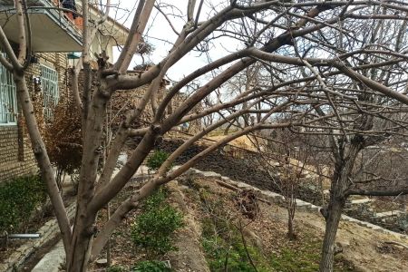 سوئیت در طرقبه - طبقه همکف