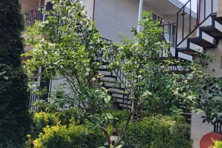 اتاق دبل در زیباکنار - چونچنان