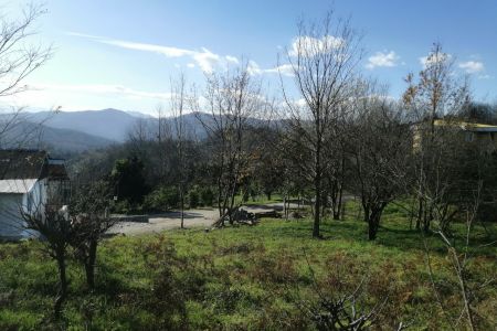 سوئیت در لاهیجان - زمیدان