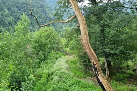 خانه مبله در لفور - رییس کلا - همکف