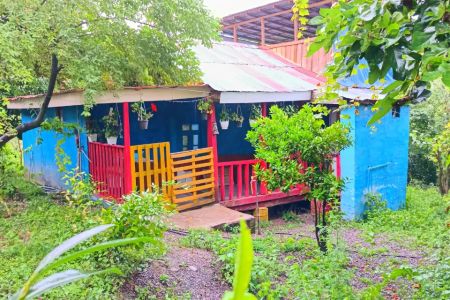 رزرو کلبه جنگلی در بابلکنار - جاجن