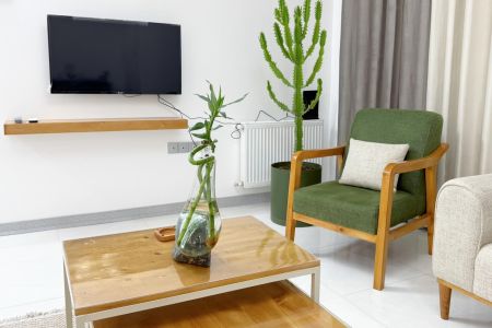 آپارتمان مبله در شیراز - سینما سعدی