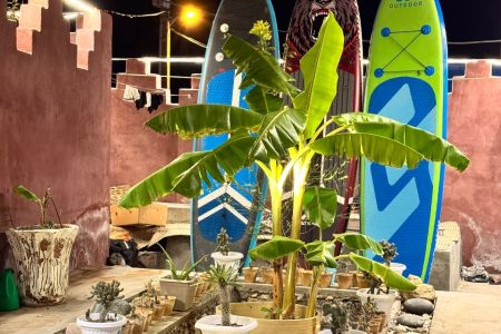 بومگردی در جزیره هنگام جدید - دبل