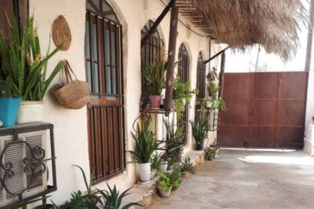 بومگردی در بوشهر - ۱۵ متری همکف