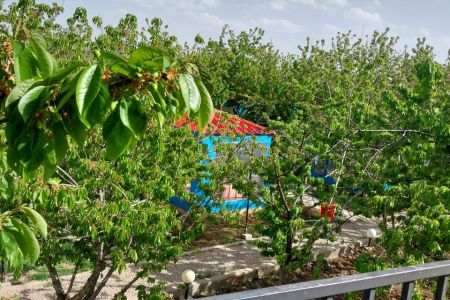 بومگردی در حومه بجنورد - اتاق ۴۵ متری - ط۲