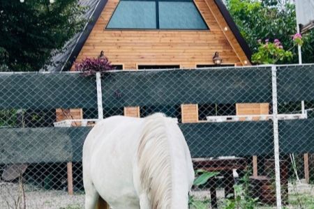 کلبه سوئیسی در سنگر