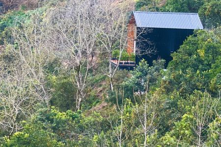 کلبه جنگلی با ویو کوه و دریا در اربه کله