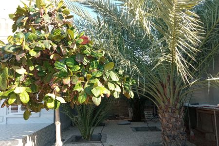 ویلا در پارسیان - باغستان