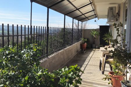 اجاره خانه حیاط دار در ساری - لالیم - همکف