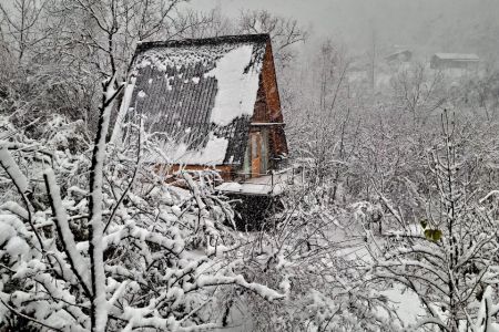 کلبه سوئیسی در بابلکنار - جاجن درازکلا