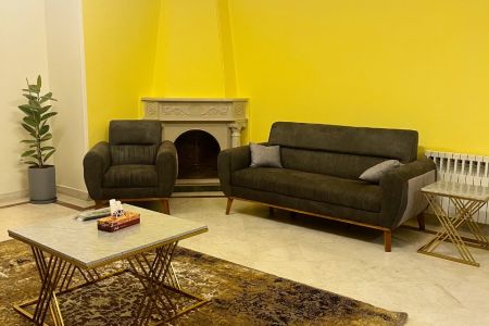 آپارتمان مبله در تهران - فاطمی