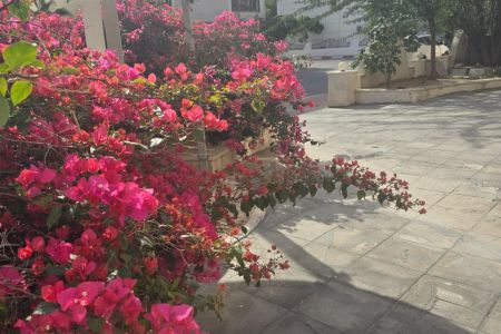 آپارتمان مبله در شهرک صدف کیش - دو خوابه