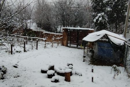 کلبه نقلی با حیاطی دلباز در قائمشهر - واسکس