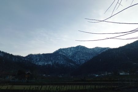 اجاره خانه حیاط دار در ماسال - ورمیه