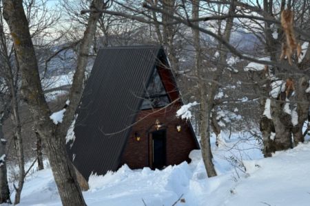 کلبه سوئیسی استخردار در قلب جنگل های درفک