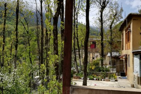 سوئیت با چشم انداز جنگل در ماسوله - ط دوم