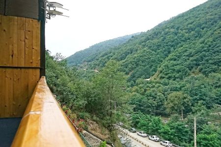 سوئیت با چشم انداز جنگل در ماسوله - ط دوم