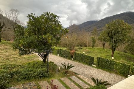 کلبه سوئیسی استخردار در اربه کله