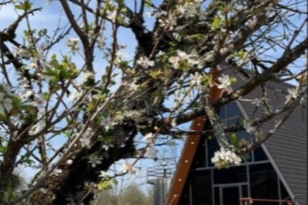 کلبه سوئیسی در گیسوم - سیاه بیل