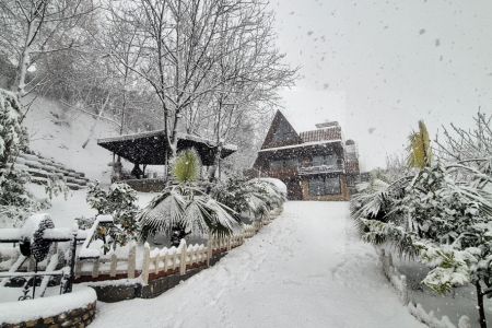 کلبه چوبی در ارتفاعات قائمشهر - قادیکلای بزرگ