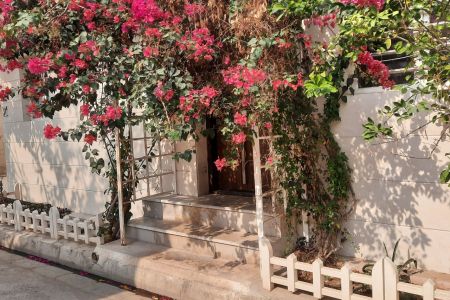 خانه با حیاط نقلی در بوشهر - همکف