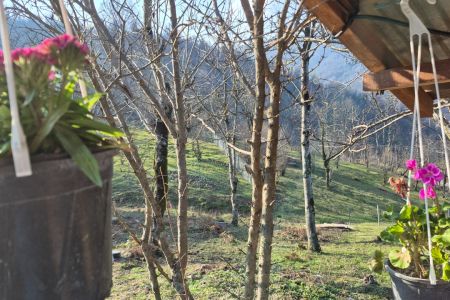 خانه روستایی در شاندرمن - طالب دره