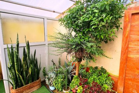 ویلا استخردار در چهارباغ - رونده