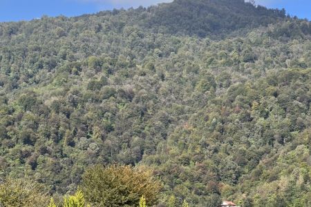 کلبه سوئیسی در طاسکوه