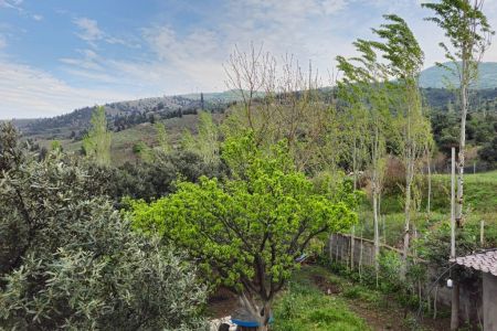 سوئیت حیاط دار در رودبار - کلشتر