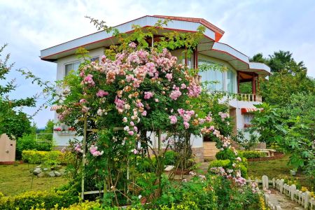 ویلا حیاط دار در تالش - نیک کری - همکف