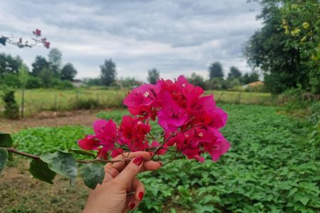 خانه روستایی در ماسال - چوکا