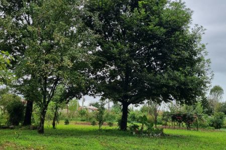 خانه روستایی در ماسال - چوکا