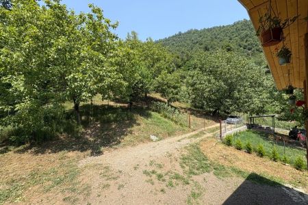 کلبه چوبی با چشم انداز جنگل در ماسال - خروم