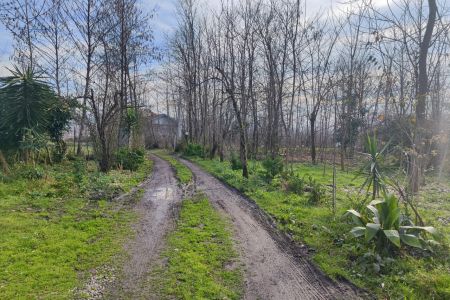 خانه ویلایی در سیاهکل - اتوبان سیاهکل به سنگر