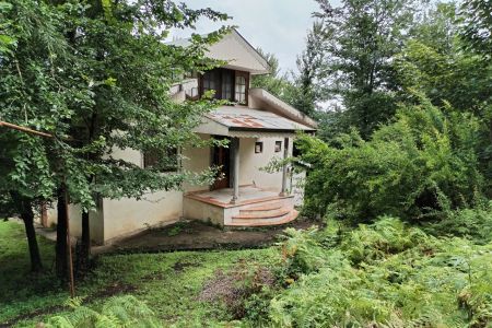 خانه ویلایی جنگلی در سراوان - جوکلبندان