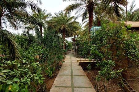 بوم گردی در کرمان - شهداد - ۶ تخته