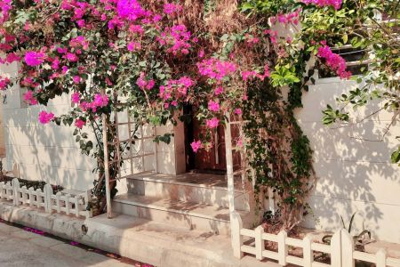 خانه با حیاط نقلی در بوشهر - همکف