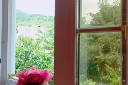 کلبه چوبی در شاندرمن - بی تم - ط دوم