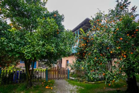 بومگردی در تنکابن - چلارسر - شب خسب