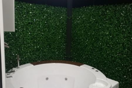 ویلا سوئیسی جکوزی دار در ماسال - طاسکوه