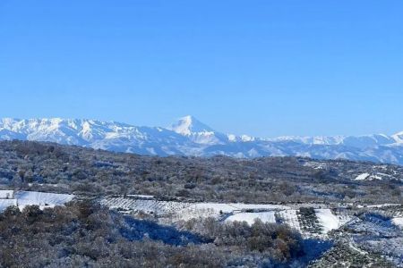 اجاره کلبه جنگلی در حومه قائم شهر