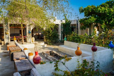 بوم گردی در بندر لافت - جنگل حرا