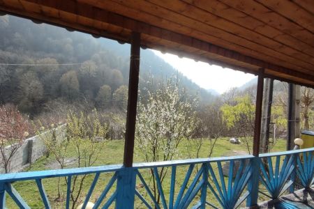 سوئیت جنگلی در ماسال - سلیم آباد