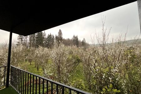 کلبه سوئیسی در بابلکنار - کلاریکلا - تیپ ۲