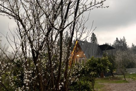 کلبه سوئیسی در بابلکنار - کلاریکلا - تیپ ۲