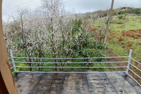 کلبه سوئیسی در بابلکنار - هلی خال