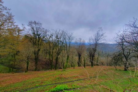 کلبه سوئیسی در سوادکوه - افراسی