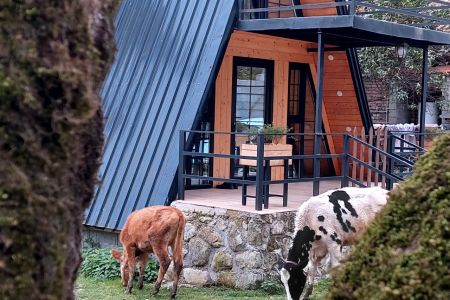 کلبه سوئیسی در نیلاش شاندرمن