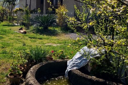 خانه ویلایی با حیاط دلباز در وشمه سرا